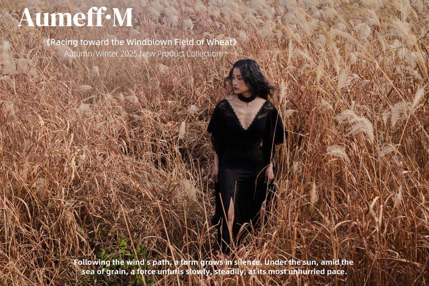 【Racing toward the Windblown Field of Wheat】